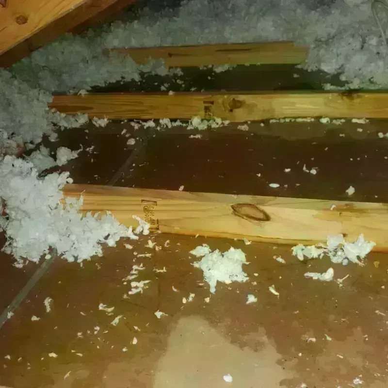 Attic Water Damage in East Moline, IL