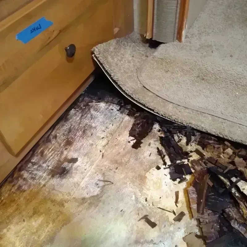 Wood Floor Water Damage in East Moline, IL